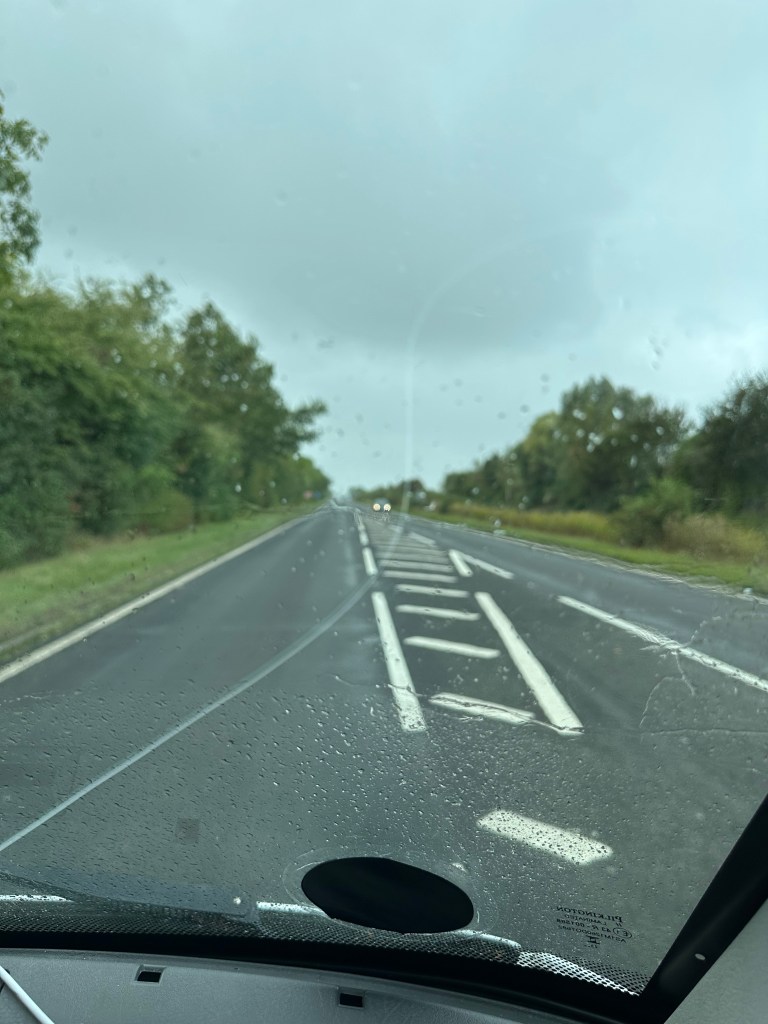 This image has an empty alt attribute; its file name is img_5982.jpeg