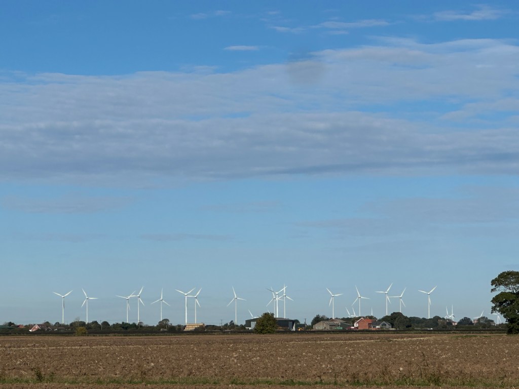 This image has an empty alt attribute; its file name is img_5993.jpeg