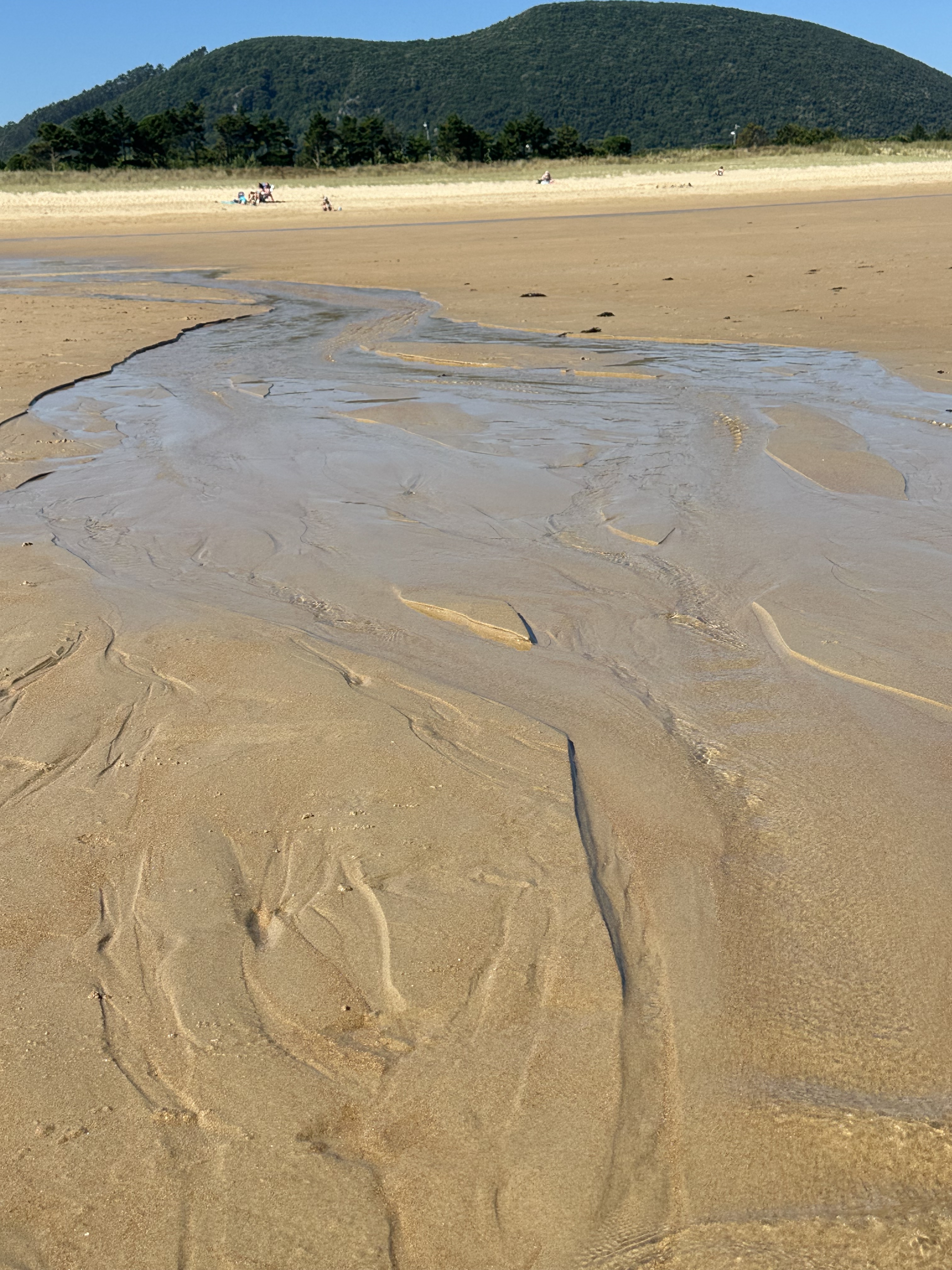 Sea rivulets in the sand