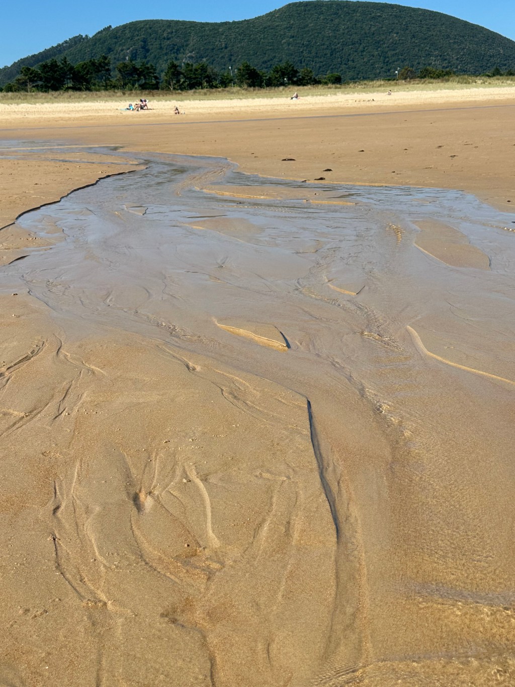 Sea rivulets in the sand